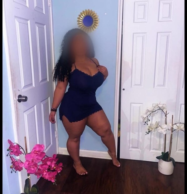 663194829 | PALOMA | Chica